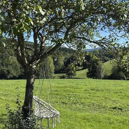 Avec Animaux Acceptes A - Fr-1-489-137 Nizerolles